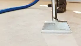 Carpet cleaning wand head gliding over a light carpet during hot-water extraction, New Haven, CT.
