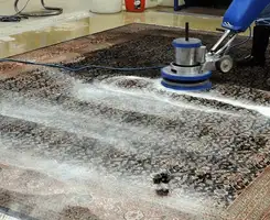 Professional rug cleaning with a rotary floor machine and shampoo foam, deep-cleaning an area rug, in New Haven, CT.