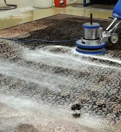 Professional rug cleaning with a rotary floor machine and shampoo foam, deep-cleaning an area rug New Haven, CT.